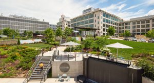 Innovation Quarter
